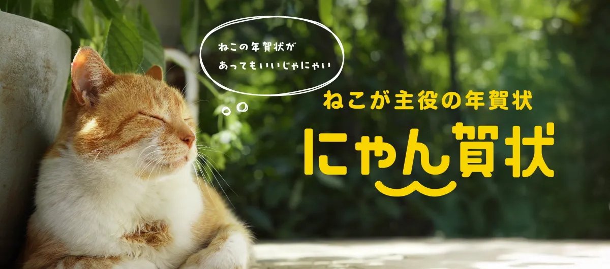 挨拶状ドットコム 口コミ きずなばこ
